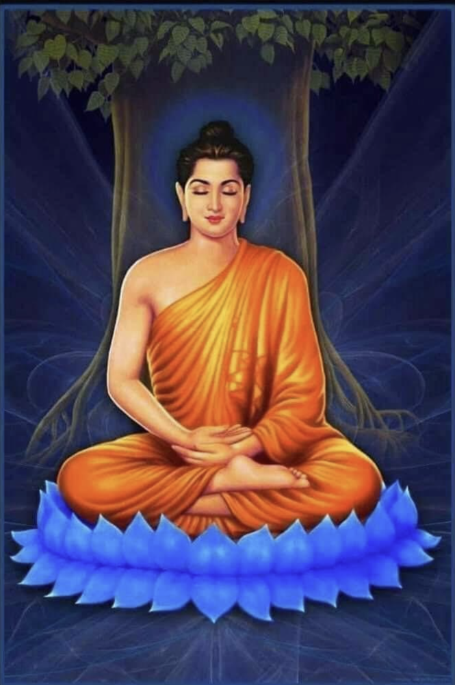 Bouddha en méditation sur un lotus — figure de sérénité au début de toute lecture.